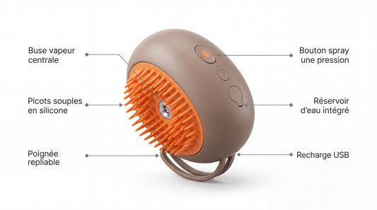 Points forts de la brosse vapeur : buse vapeur centrale, picots souples en silicone, réservoir d'eau intégré, bouton spray, poignée repliable, recharge USB