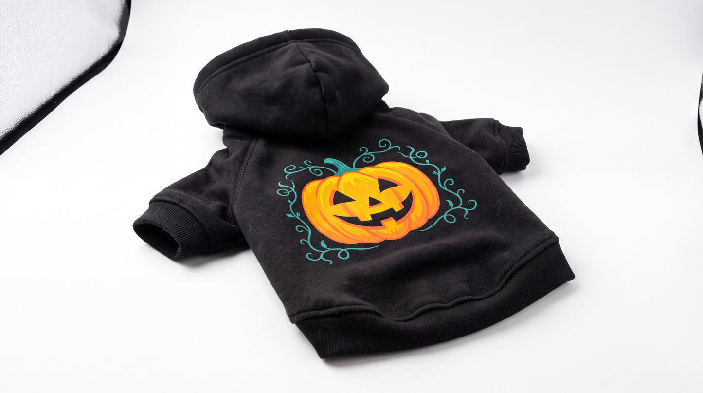 Sweat à capuche noir motif citrouille pour chien — vue studio