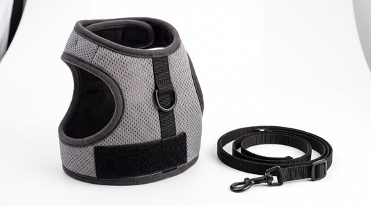 Harnais-veste gris pour chat avec laisse incluse — vue studio