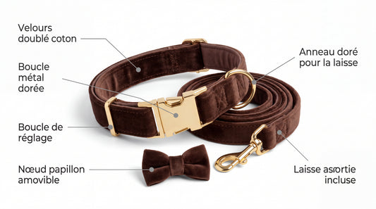 Points forts de l'ensemble velours : velours doublé coton, boucle métal dorée, boucle de réglage, anneau doré, nœud papillon amovible, laisse assortie incluse