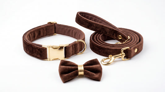 Ensemble collier et laisse en velours brun avec nœud papillon — vue studio