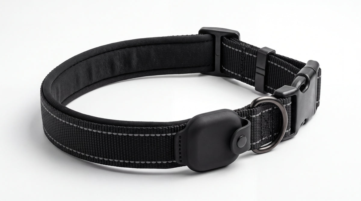 Collier porte-traceur noir réfléchissant — vue studio
