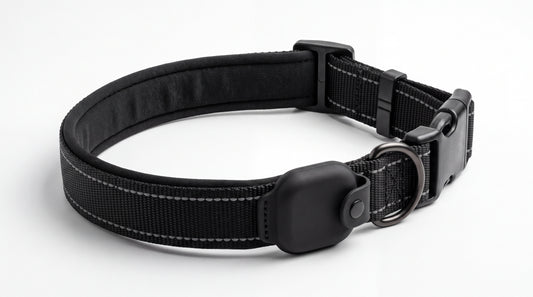 Collier porte-traceur noir réfléchissant — vue studio